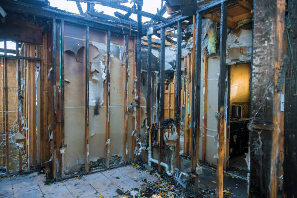 Professional Fire Damage Assessment technician working in Palmetto, FL
